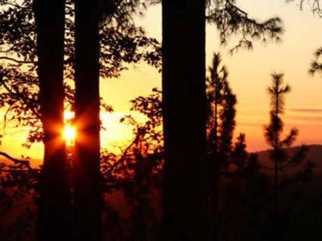 Sierra Sun Cloud Inn - Colfax (Adults Only) Eksteriør billede